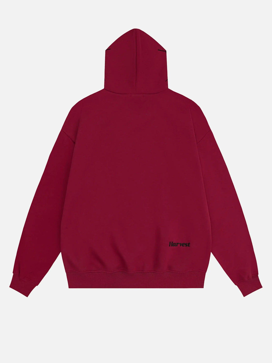 Back view of a red TALISHKO hoodie showcasing minimal design and cozy fit.