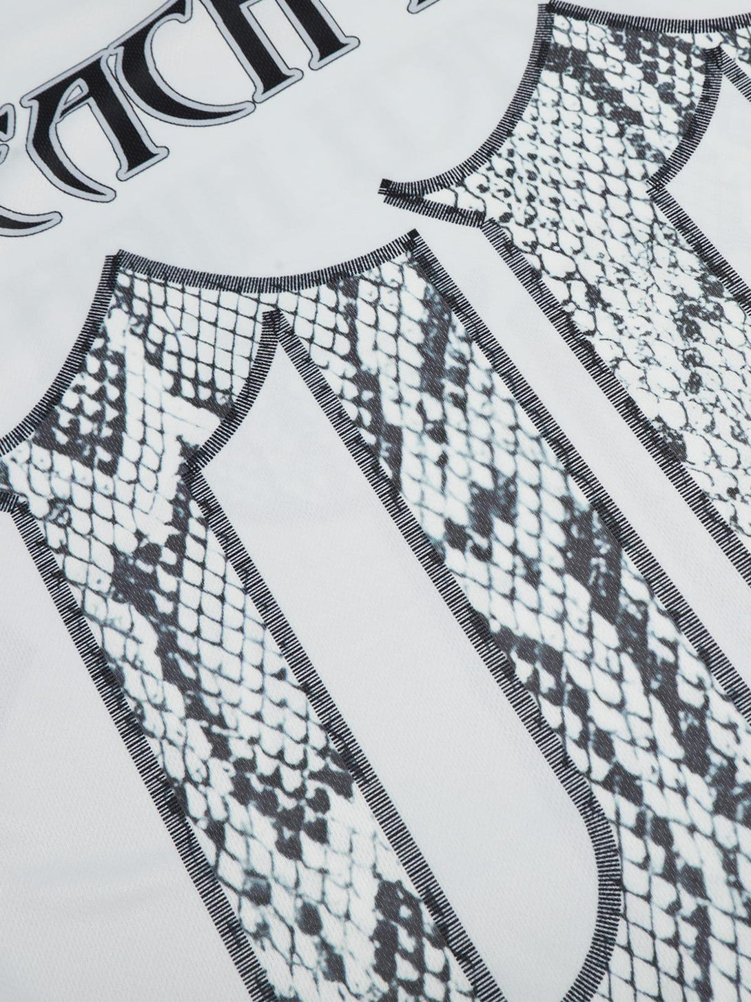 Zoomed-in texture of TALISHKO jersey-style T-shirt showcasing snake print and "Reach High" design.